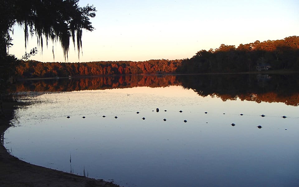 Lake Hall Tallahassee Times